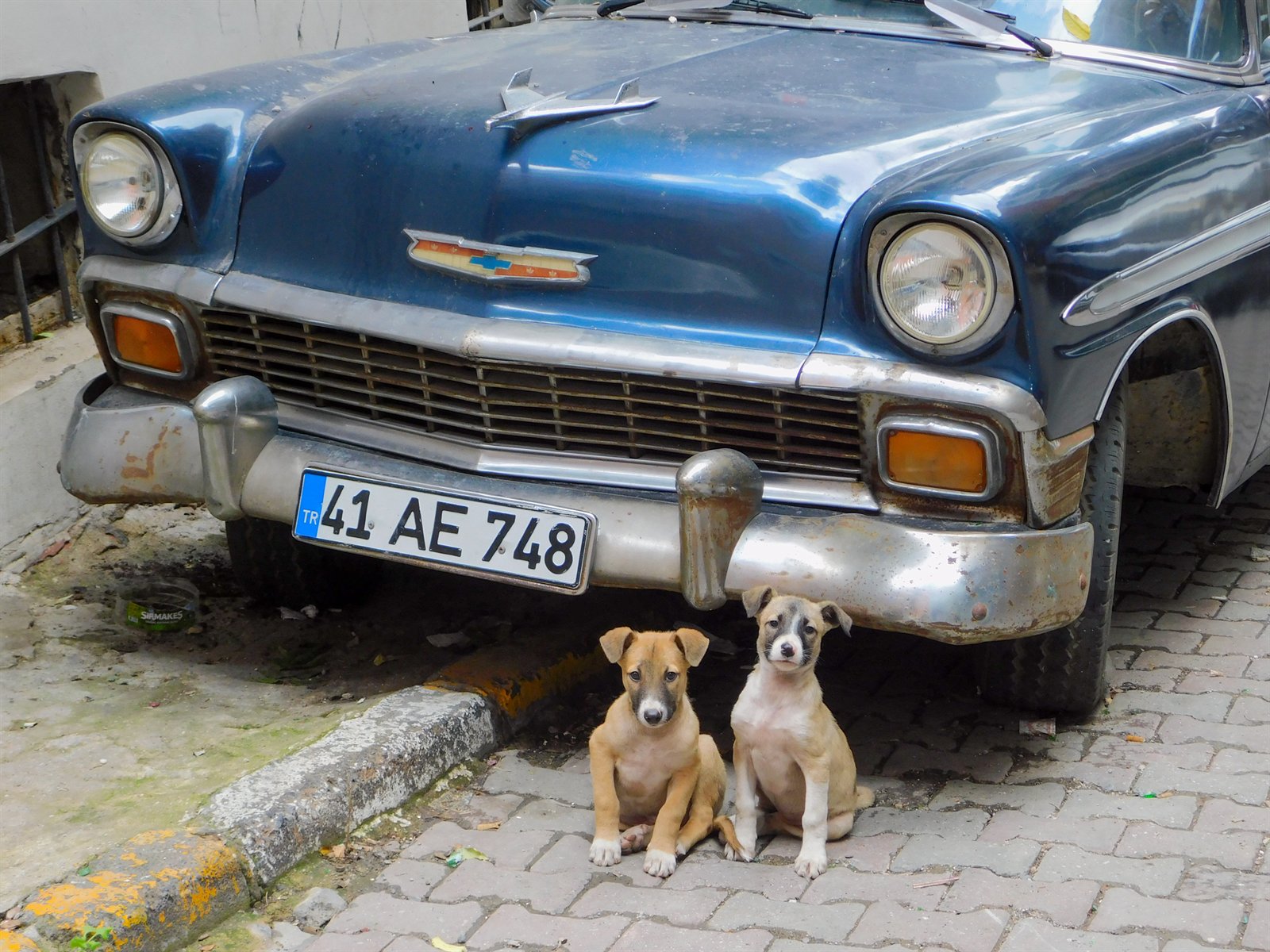 Alter Chevrolet, Istanbul von Ivan Pogodin